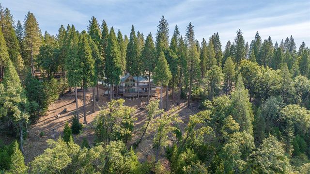 19015 E Pine Dr, Pioneer, CA 95666