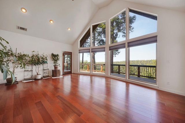 19015 E Pine Dr, Pioneer, CA 95666