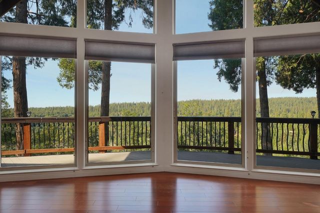 19015 E Pine Dr, Pioneer, CA 95666