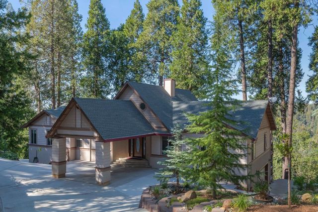 19015 E Pine Dr, Pioneer, CA 95666