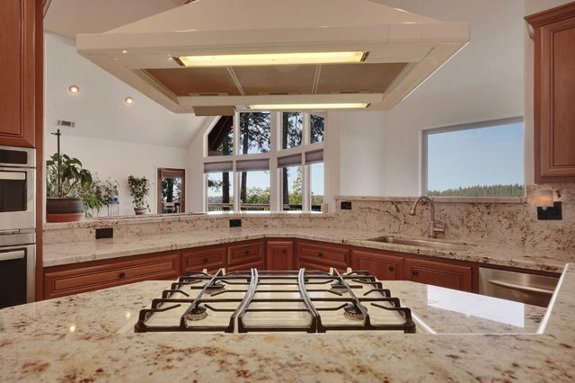 19015 E Pine Dr, Pioneer, CA 95666