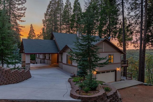 19015 E Pine Dr, Pioneer, CA 95666