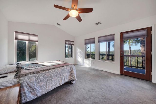 19015 E Pine Dr, Pioneer, CA 95666