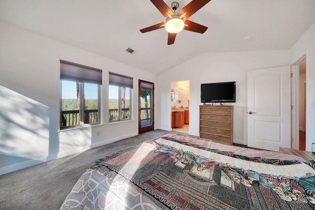 19015 E Pine Dr, Pioneer, CA 95666