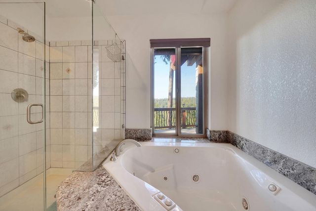 19015 E Pine Dr, Pioneer, CA 95666