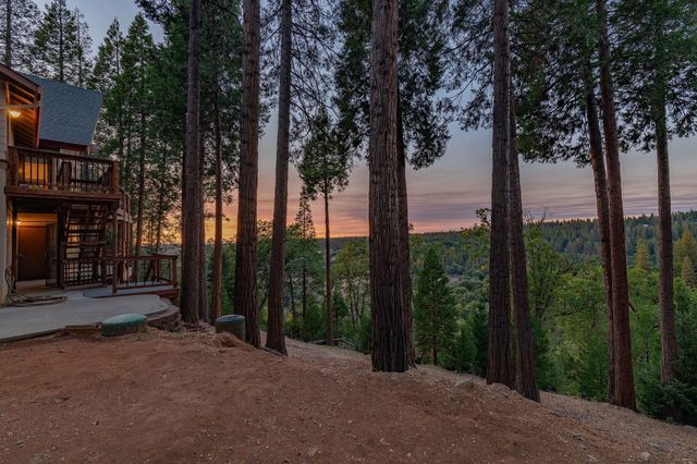 19015 E Pine Dr, Pioneer, CA 95666