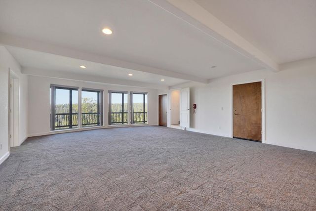 19015 E Pine Dr, Pioneer, CA 95666