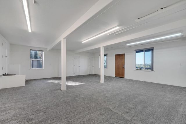 19015 E Pine Dr, Pioneer, CA 95666