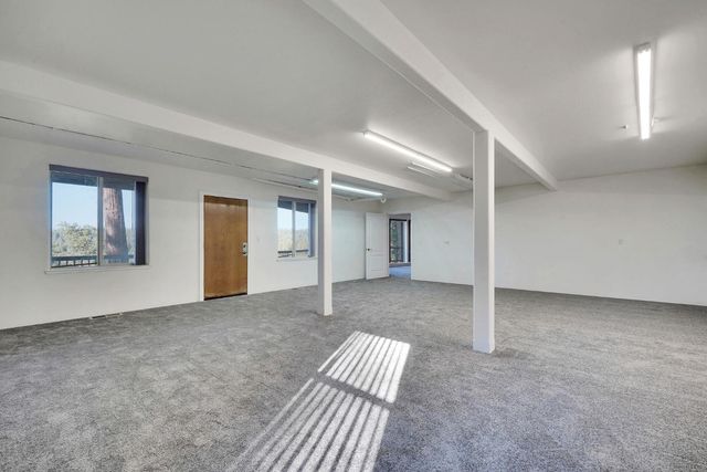 19015 E Pine Dr, Pioneer, CA 95666