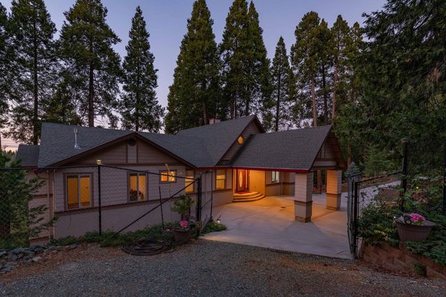 19015 E Pine Dr, Pioneer, CA 95666