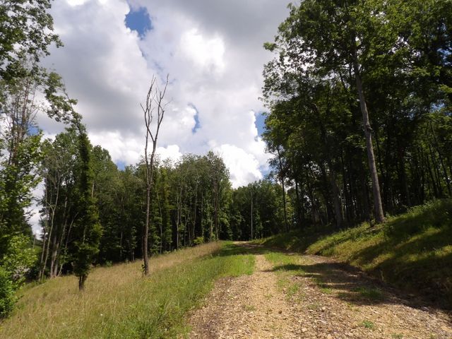 150 W John Davis Rd, Westmoreland, TN 37186
