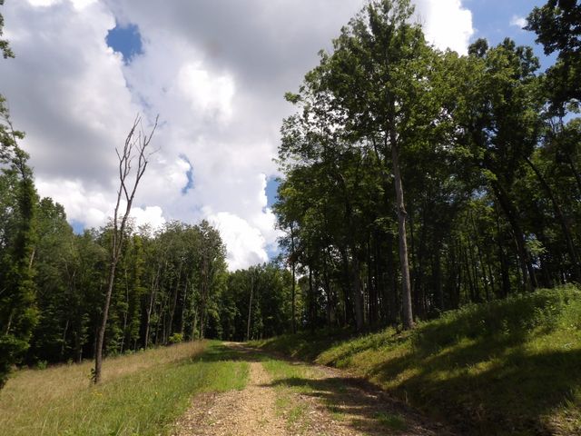 150 W John Davis Rd, Westmoreland, TN 37186