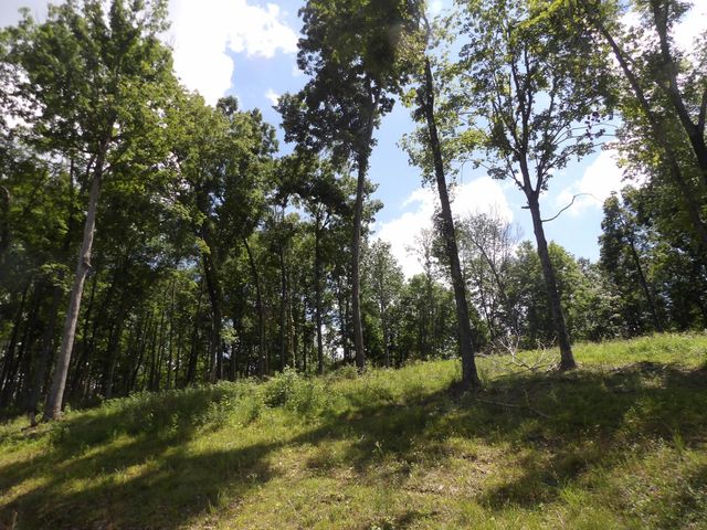 150 W John Davis Rd, Westmoreland, TN 37186