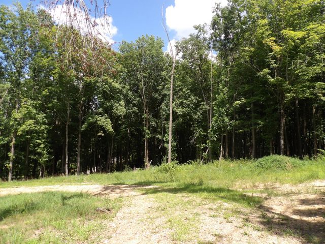 150 W John Davis Rd, Westmoreland, TN 37186