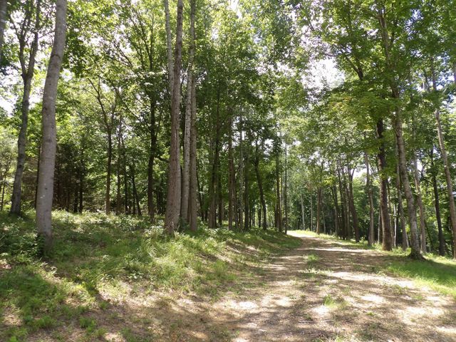 150 W John Davis Rd, Westmoreland, TN 37186
