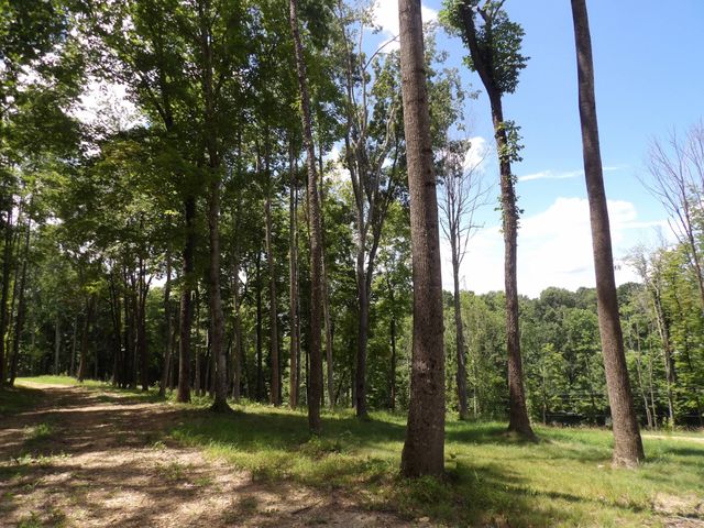 150 W John Davis Rd, Westmoreland, TN 37186