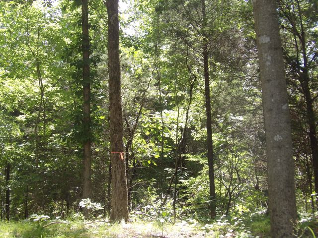 150 W John Davis Rd, Westmoreland, TN 37186