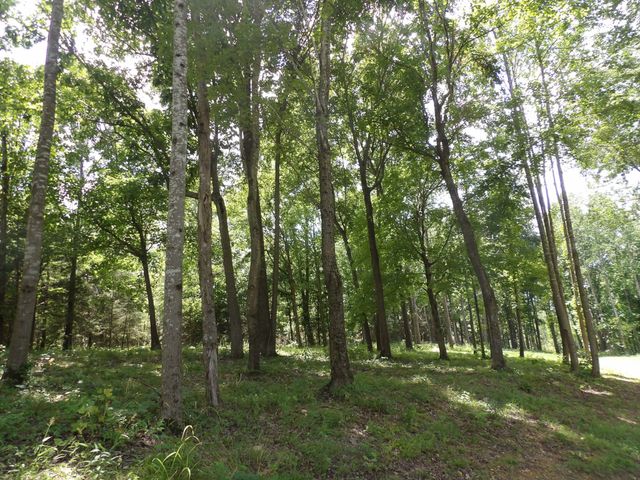 150 W John Davis Rd, Westmoreland, TN 37186