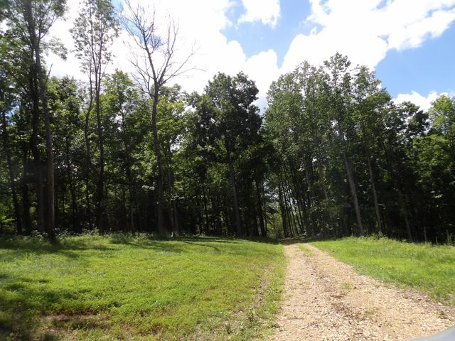 150 W John Davis Rd, Westmoreland, TN 37186