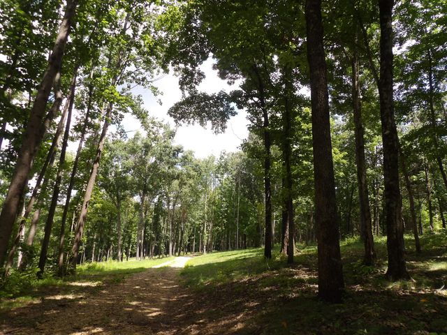 150 W John Davis Rd, Westmoreland, TN 37186