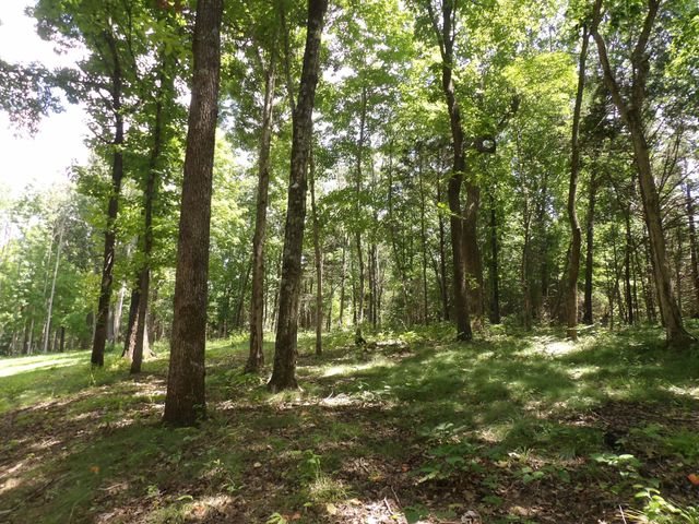 150 W John Davis Rd, Westmoreland, TN 37186