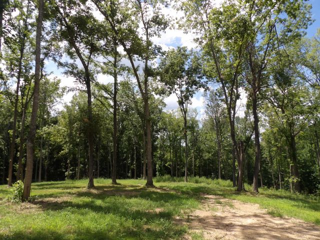 150 W John Davis Rd, Westmoreland, TN 37186