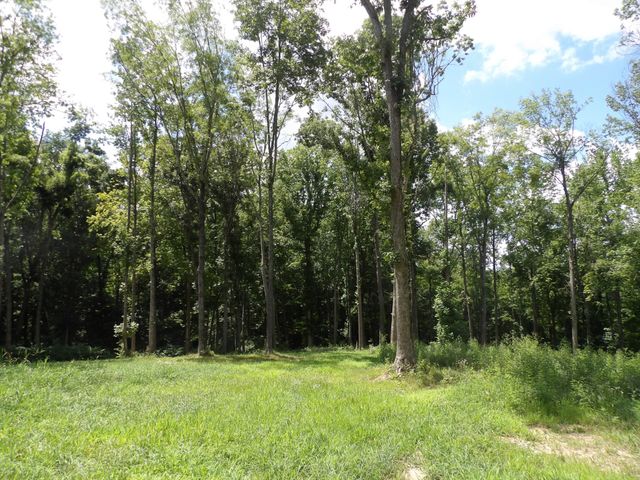 150 W John Davis Rd, Westmoreland, TN 37186
