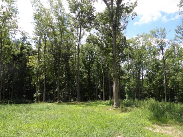 150 W John Davis Rd, Westmoreland, TN 37186