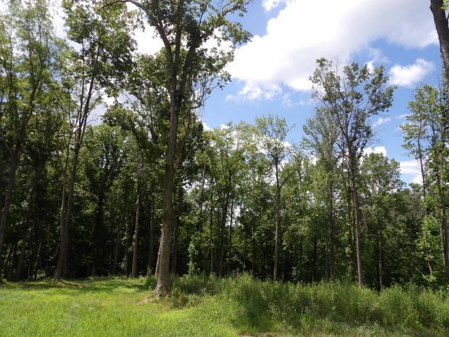 150 W John Davis Rd, Westmoreland, TN 37186