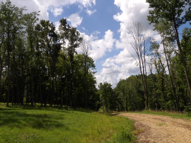 150 W John Davis Rd, Westmoreland, TN 37186