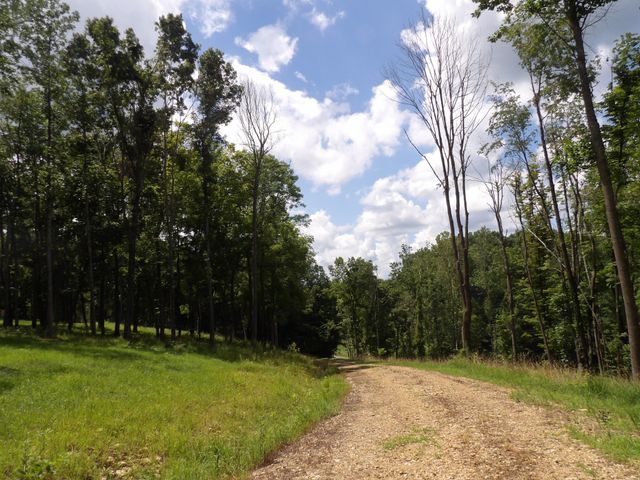 150 W John Davis Rd, Westmoreland, TN 37186