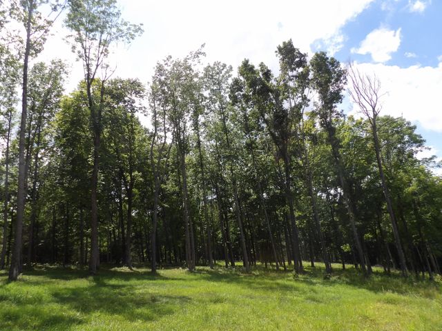 150 W John Davis Rd, Westmoreland, TN 37186