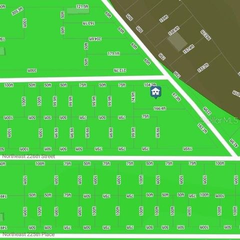 0 NE 227TH STREET, Fort Mc Coy, FL 32134