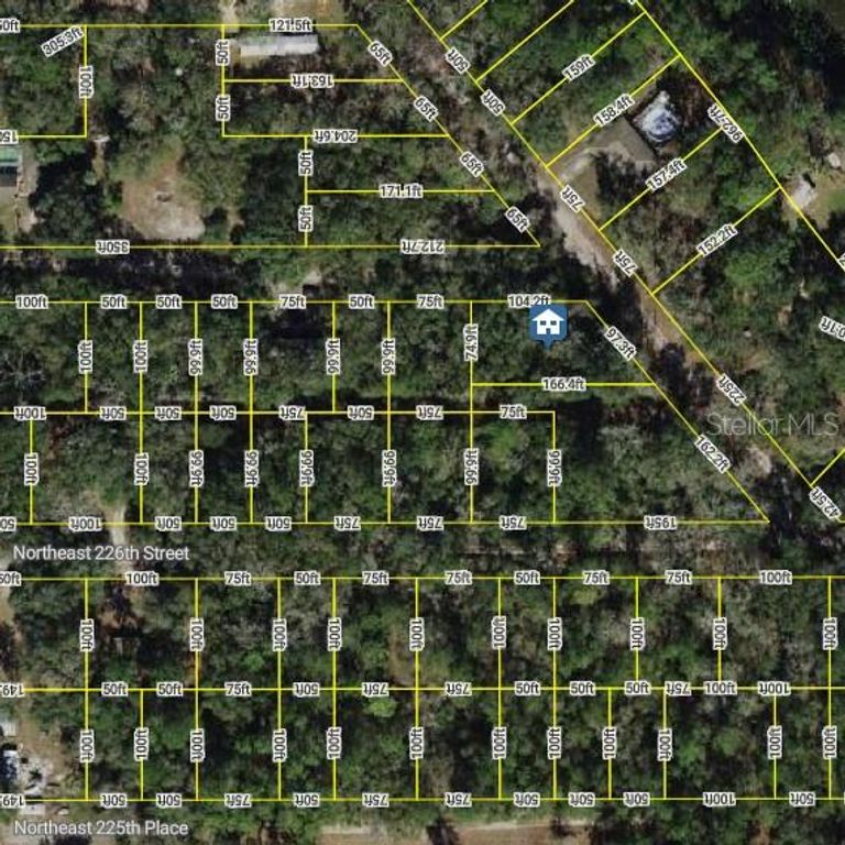 0 NE 227TH STREET, Fort Mc Coy, FL 32134
