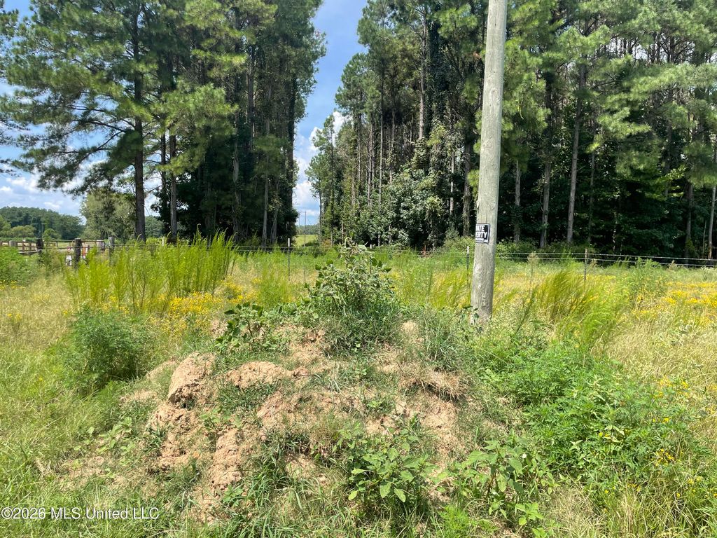 Steward Road, Senatobia, MS 38668 — exterior