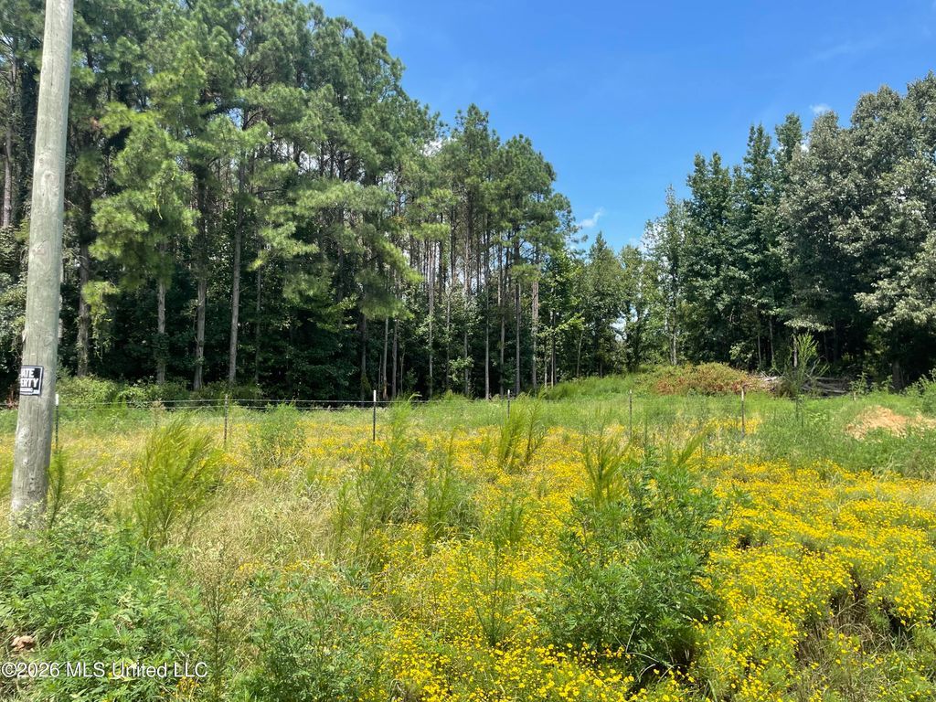 Steward Road, Senatobia, MS 38668 — photo 2