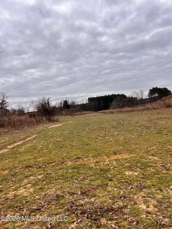 Steward Road, Senatobia, MS 38668 — photo 3
