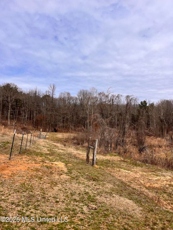 Steward Road, Senatobia, MS 38668 — photo 4