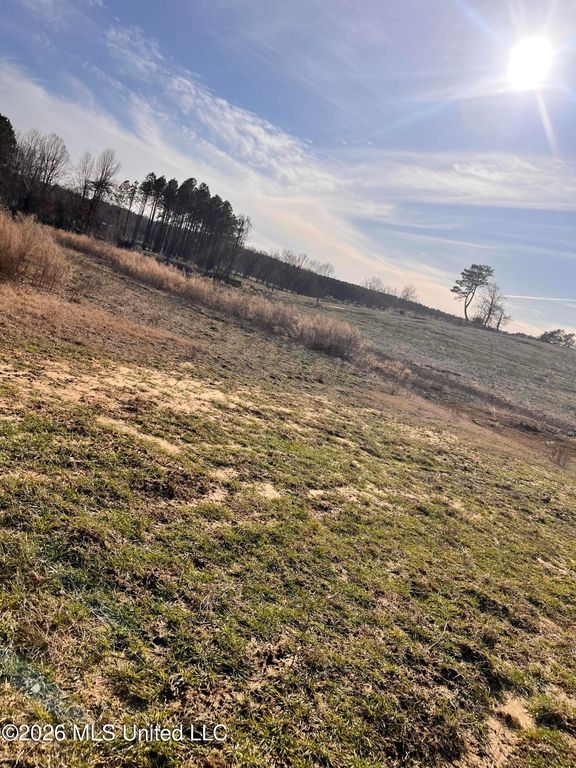 Steward Road, Senatobia, MS 38668 — photo 5