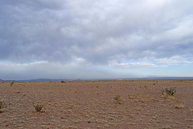 Lot 3-69 High Chaparral Road, San Antonio, NM 87832