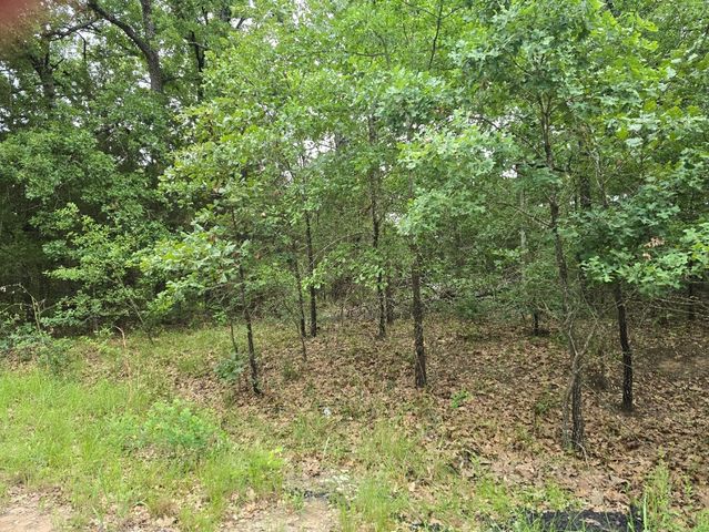 Lot 1007 Kickapoo Trail, Mabank, TX 75156