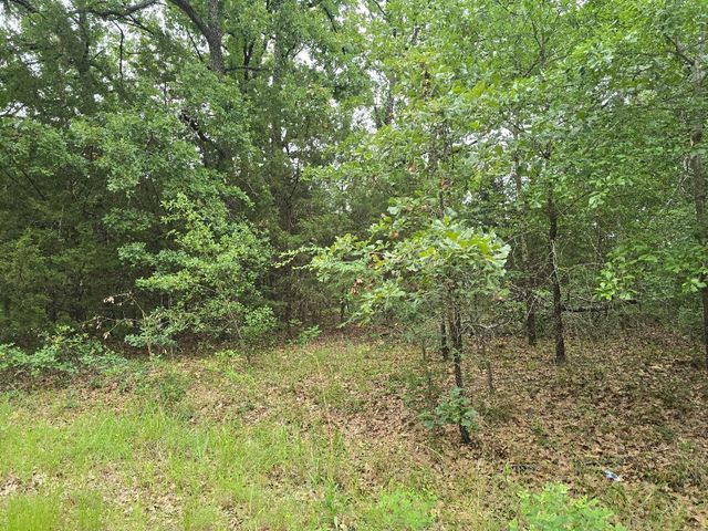 Lot 1007 Kickapoo Trail, Mabank, TX 75156