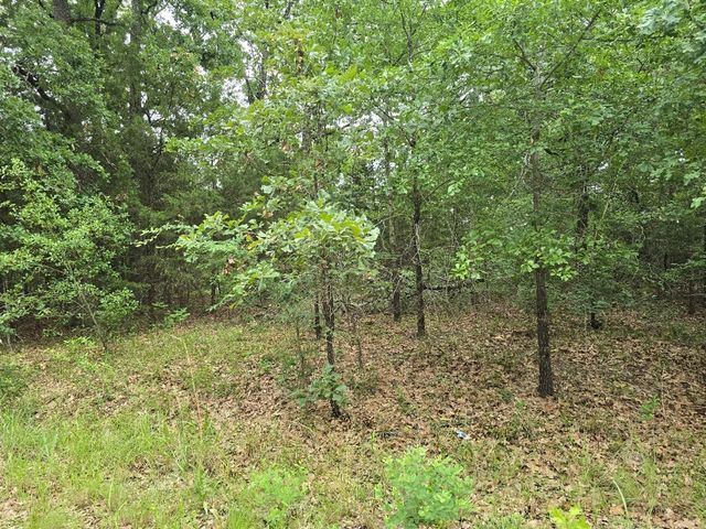 Lot 1007 Kickapoo Trail, Mabank, TX 75156