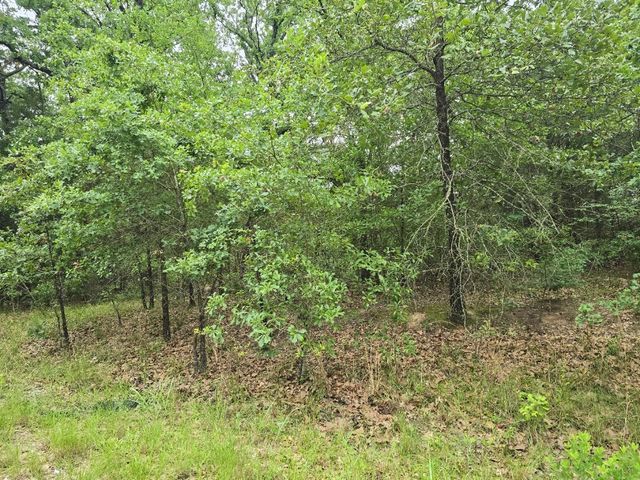 Lot 1007 Kickapoo Trail, Mabank, TX 75156