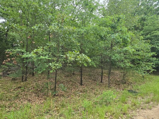 Lot 1007 Kickapoo Trail, Mabank, TX 75156
