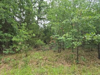 Lot 1007 Kickapoo Trail, Mabank, TX 75156