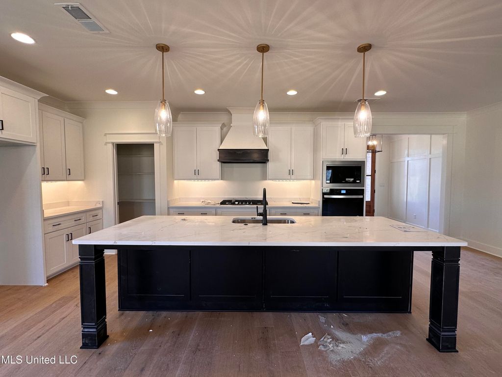 1817 Caribe Drive, Nesbit, MS 38651 — photo 5