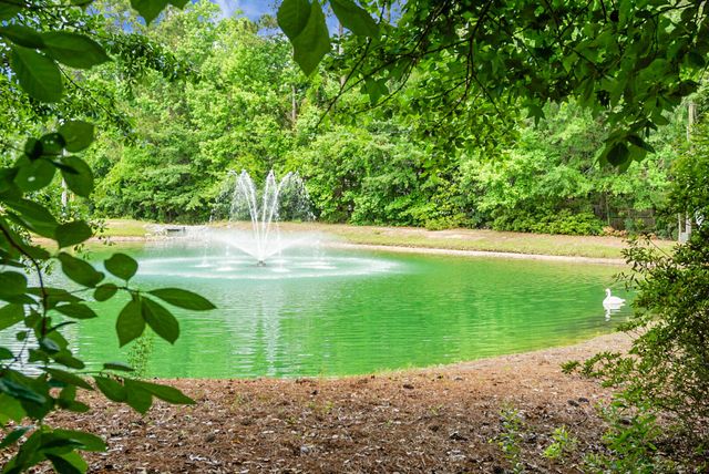 184 Angora Way, Summerville, SC 29485