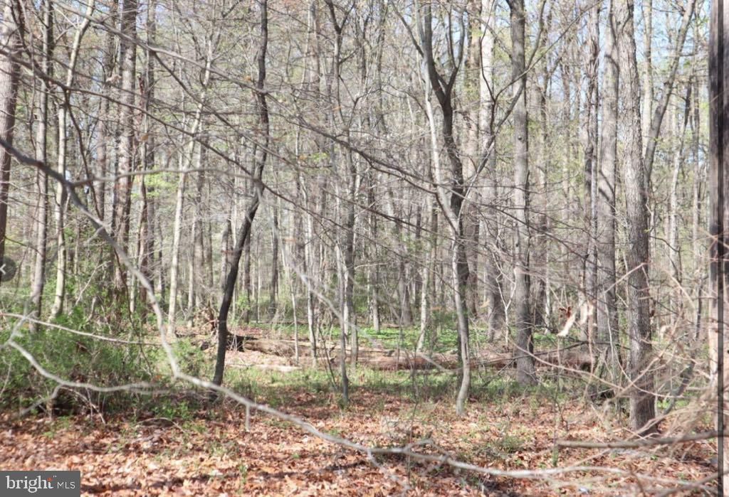 Image 4 of property listing at FAIRLEE RD, Chestertown, MD 21620