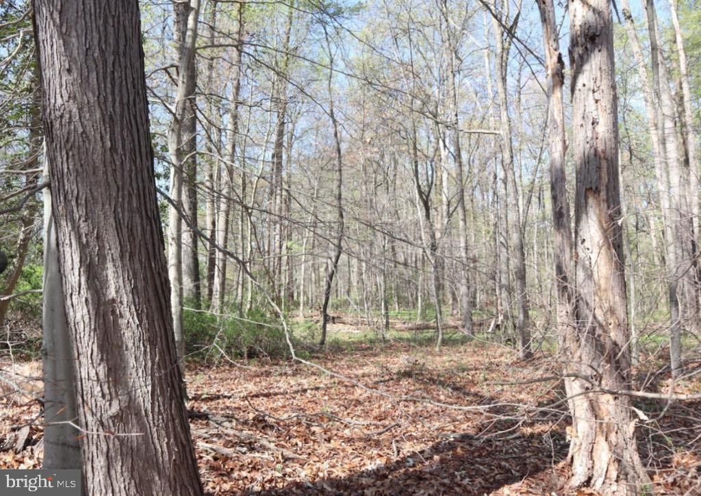 Image 5 of property listing at FAIRLEE RD, Chestertown, MD 21620